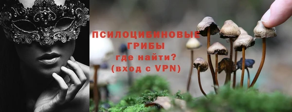 PSILOCYBIN Кинешма