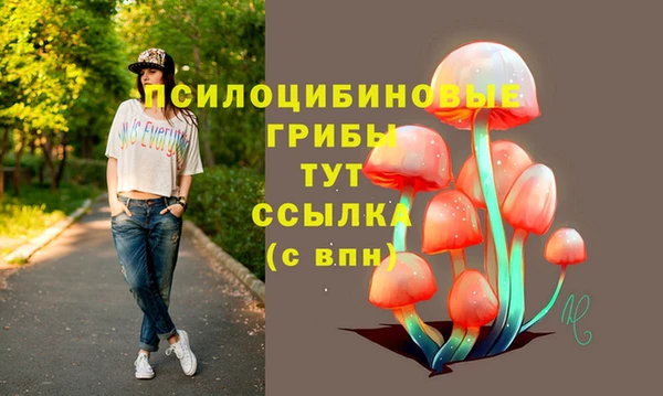 соль курить ск Киреевск