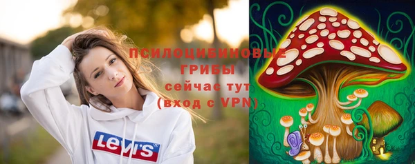 PSILOCYBIN Кинешма