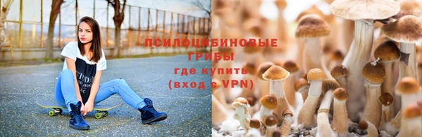 соль курить ск Киреевск
